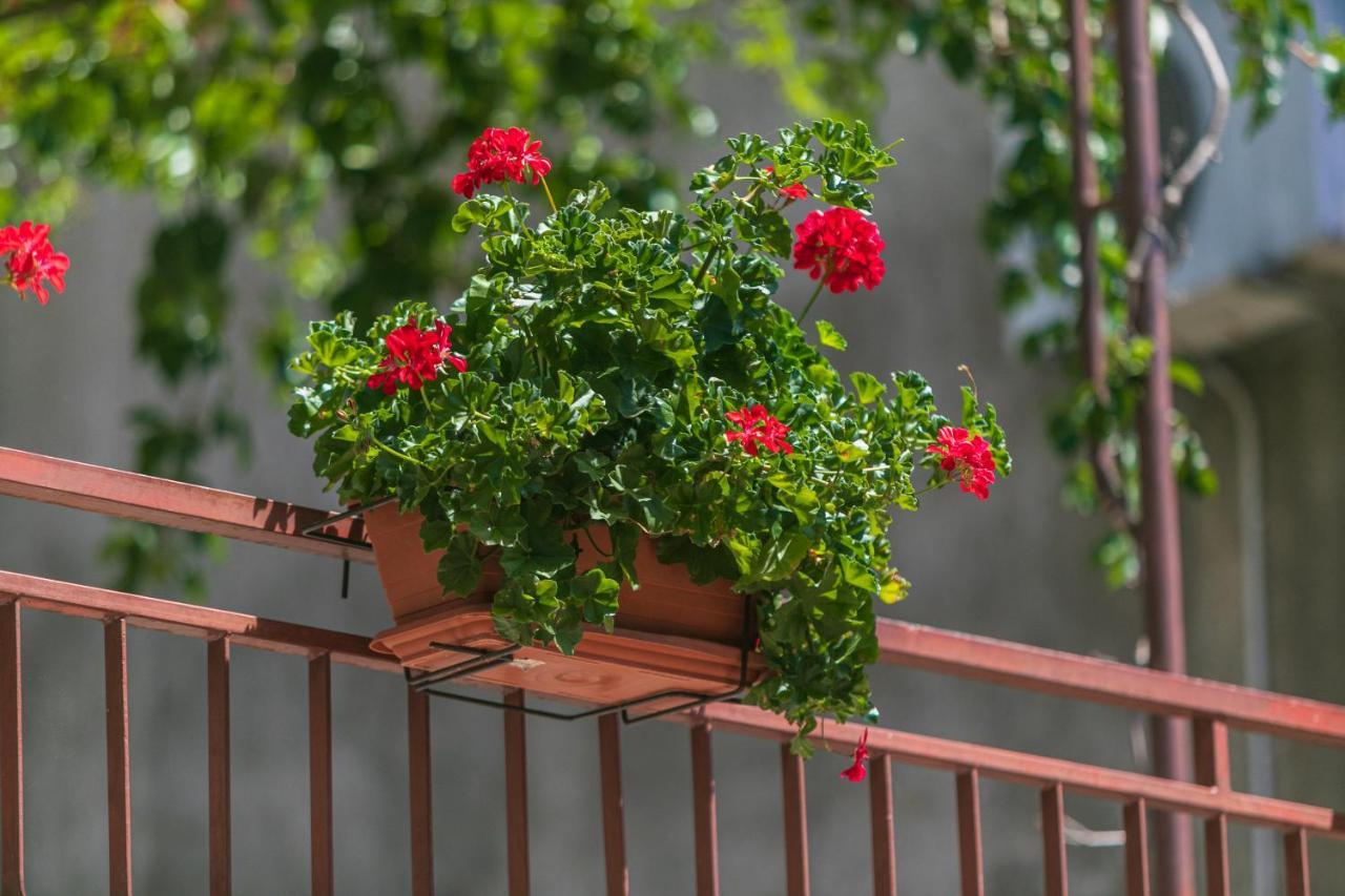 Apartments Barba Tučepi Екстериор снимка